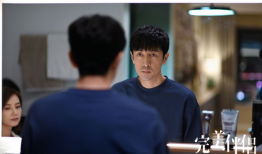 完美伴侣电视剧,爱情与事业的完美交织