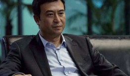 张嘉译演的电视剧,电视剧作品回顾